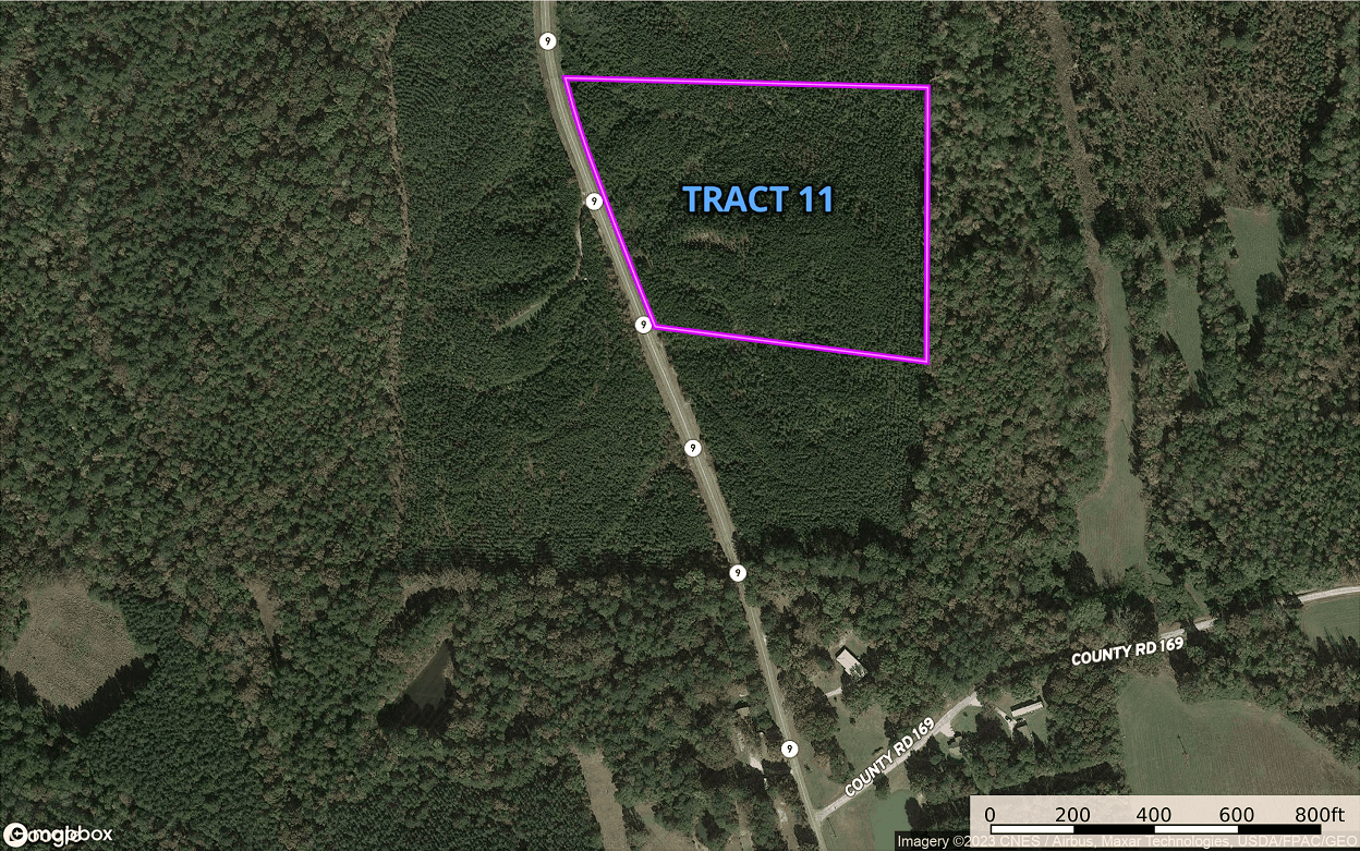 8 Aerial Map Tract 11.png